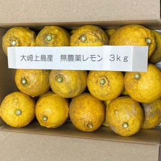 広島県大崎上島産無農薬レモン　3kg(フルーツ)