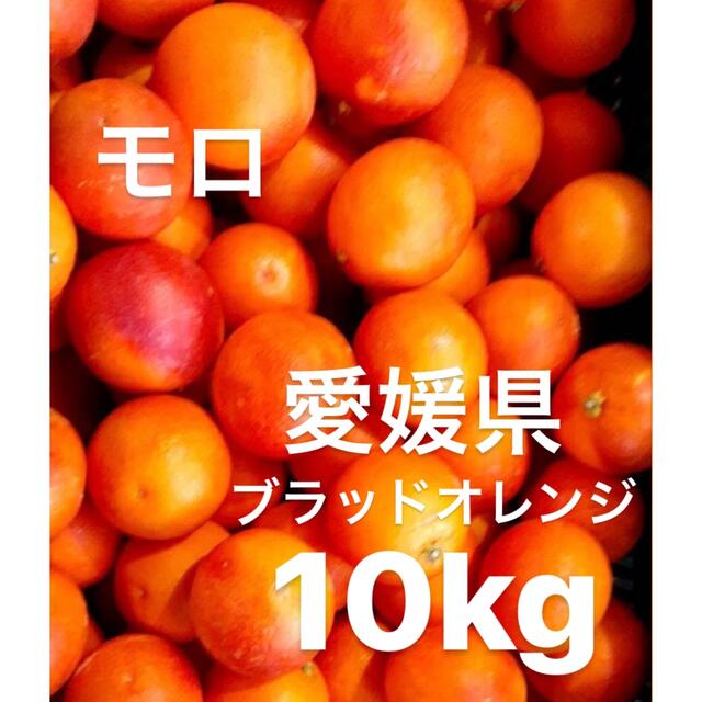 愛媛県産　ブラッドオレンジ　モロ　柑橘　10kg 食品/飲料/酒の食品(フルーツ)の商品写真