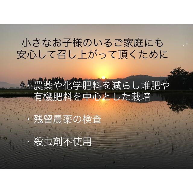 魚沼産コシヒカリ　低農薬　令和2年度産　減農薬　玄米30kg-