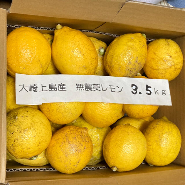 広島県大崎上島産無農薬レモン　3.5kg 食品/飲料/酒の食品(フルーツ)の商品写真