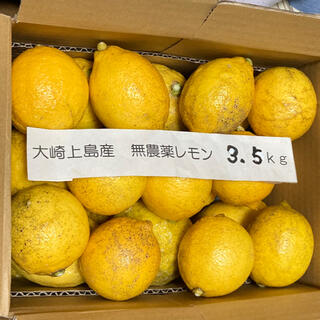 広島県大崎上島産無農薬レモン　3.5kg(フルーツ)