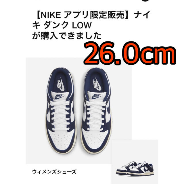 NIKE(ナイキ)のNike WMNS Dunk Low "Vintage Navy" レディースの靴/シューズ(スニーカー)の商品写真