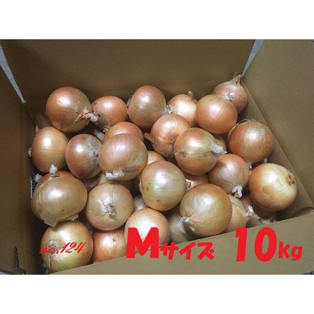 北海道産　タマネギ　Ｍサイズ　10kg　農家直送 食品/飲料/酒の食品(野菜)の商品写真