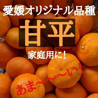 愛媛県大三島産　あま〜い甘平　5kg(フルーツ)