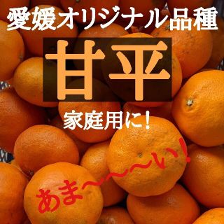 愛媛県大三島産　あま〜い甘平　5kg(フルーツ)