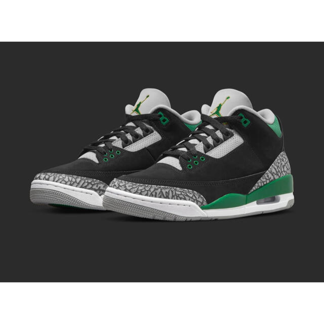 NIKE AIR JORDAN 3 RETRO PINE GREEN 29cm