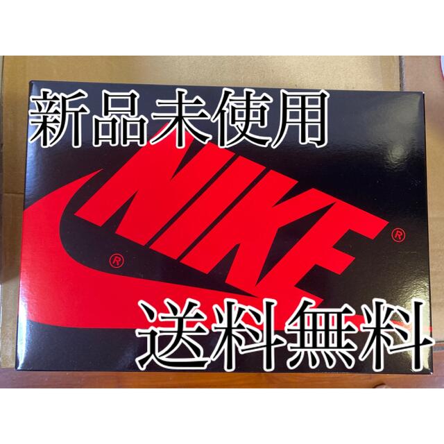 送料無料 Nike AirJordan1 High OG PatentBred