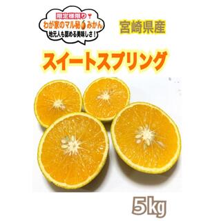 わが家のマル秘みかん❣️スイートスプリング5kg/蜜柑　無農薬　国産レモン　果物(フルーツ)