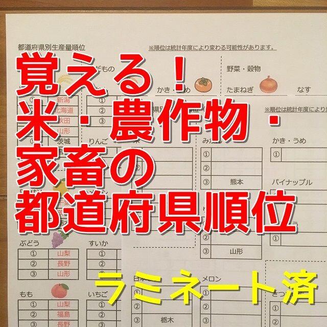 【期間限定特価】米・農作物・家畜の都道府県順位 エンタメ/ホビーの本(語学/参考書)の商品写真