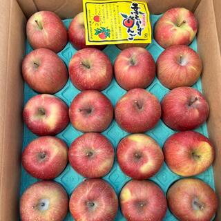 りんご  葉とらずリンゴ  特級品 40玉 10kg(フルーツ)