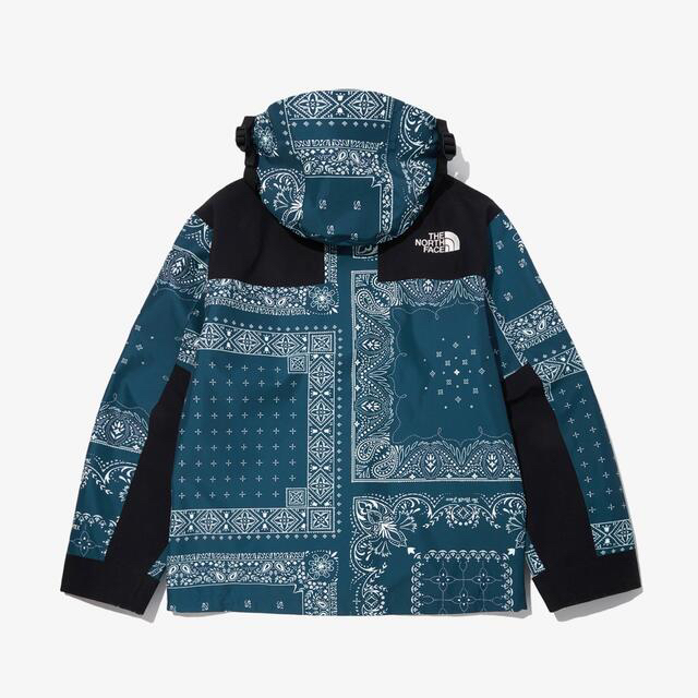 THE NORTH FACE(ザノースフェイス)のL ☆ tnf mountain jacket paisley bandana メンズのジャケット/アウター(マウンテンパーカー)の商品写真