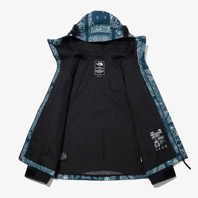 THE NORTH FACE(ザノースフェイス)のL ☆ tnf mountain jacket paisley bandana メンズのジャケット/アウター(マウンテンパーカー)の商品写真