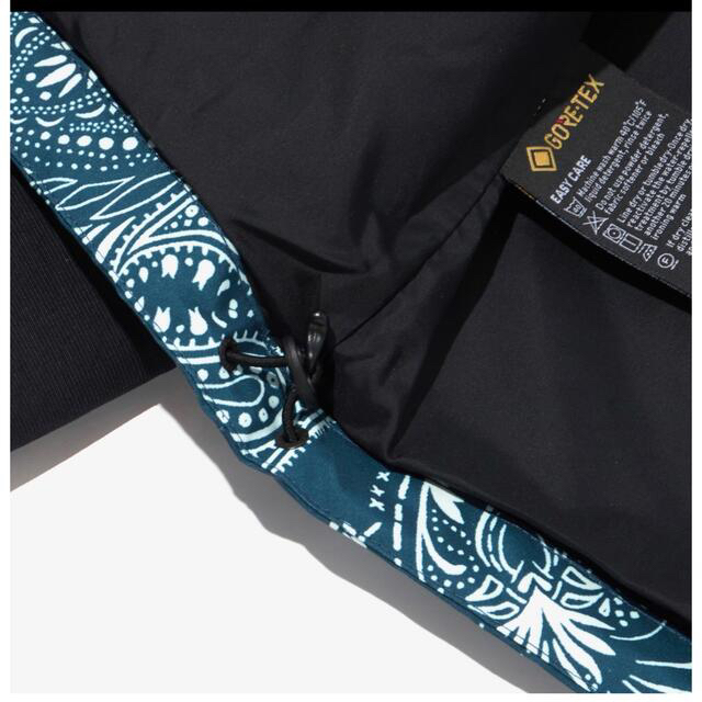 THE NORTH FACE(ザノースフェイス)のL ☆ tnf mountain jacket paisley bandana メンズのジャケット/アウター(マウンテンパーカー)の商品写真