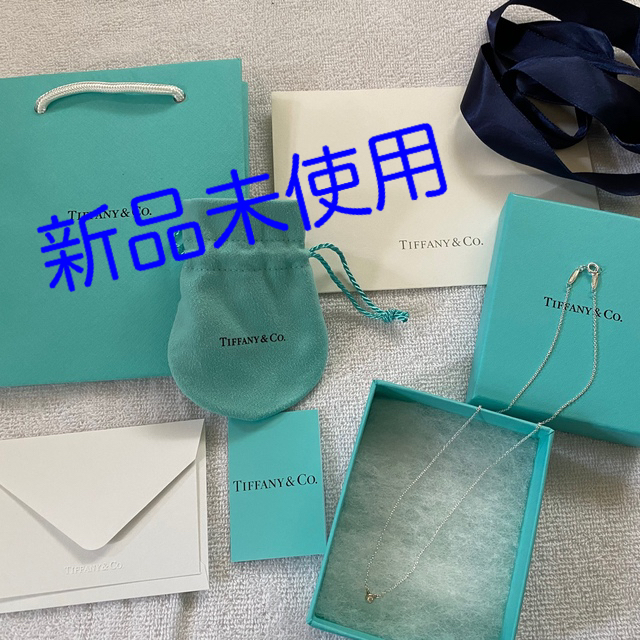 Tiffany & Co.(ティファニー)の❤︎TIFFANY&co❤︎ダイヤモンド バイ ザ ヤード シングル ペンダント レディースのアクセサリー(ネックレス)の商品写真