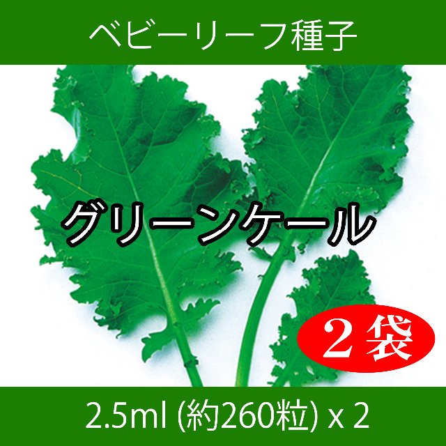 ベビーリーフ種子 B-34 グリーンケール 2.5ml 約260粒 x 2袋 食品/飲料/酒の食品(野菜)の商品写真