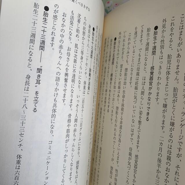 育児書3冊セット エンタメ/ホビーの本(住まい/暮らし/子育て)の商品写真