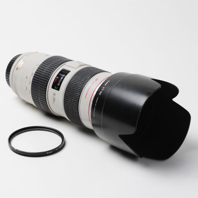 Canon EF 70-200 1:2.8 L IS USM