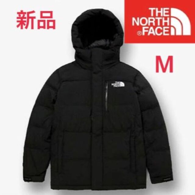 日本未発売 THE NORTH FACE ノースフェイス海外限定 - rehda.com