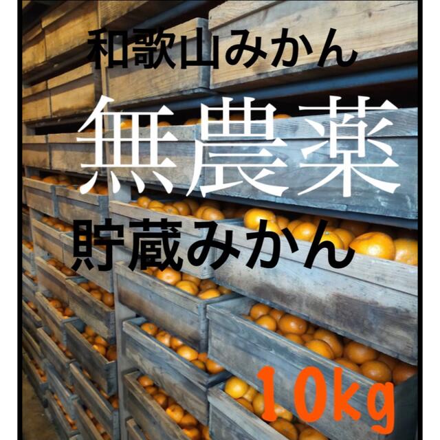 和歌山県産　無農薬みかん　10kg 食品/飲料/酒の食品(フルーツ)の商品写真