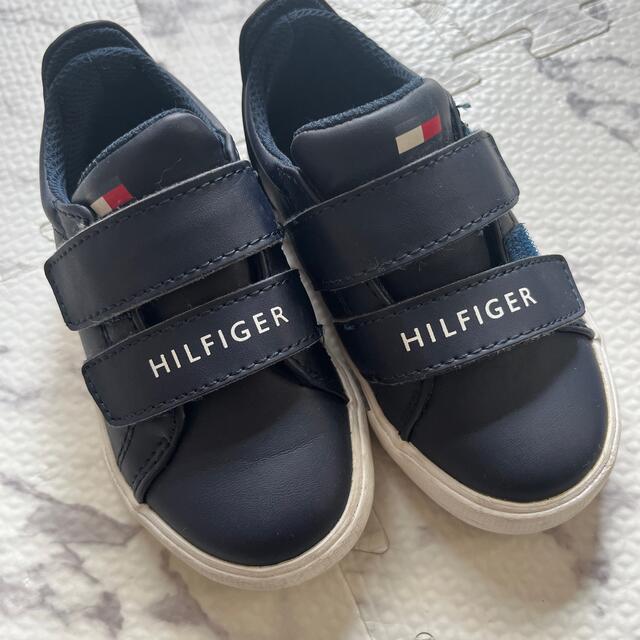 TOMMY HILFIGER(トミーヒルフィガー)のTOMMY HILFIGER スニーカー　15.5CM キッズ/ベビー/マタニティのキッズ靴/シューズ(15cm~)(スニーカー)の商品写真