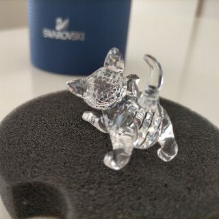 SWAROVSKI - 【美品箱付き廃盤作品】子猫のスワロフスキー クリスタル