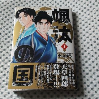 ショウガクカン(小学館)の颯汰の国 10(青年漫画)