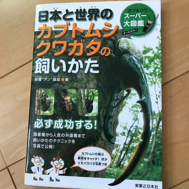 日本と世界のカブトムシ・クワガタの飼いかた カブ＆クワス－パ－大図鑑 エンタメ/ホビーの本(住まい/暮らし/子育て)の商品写真