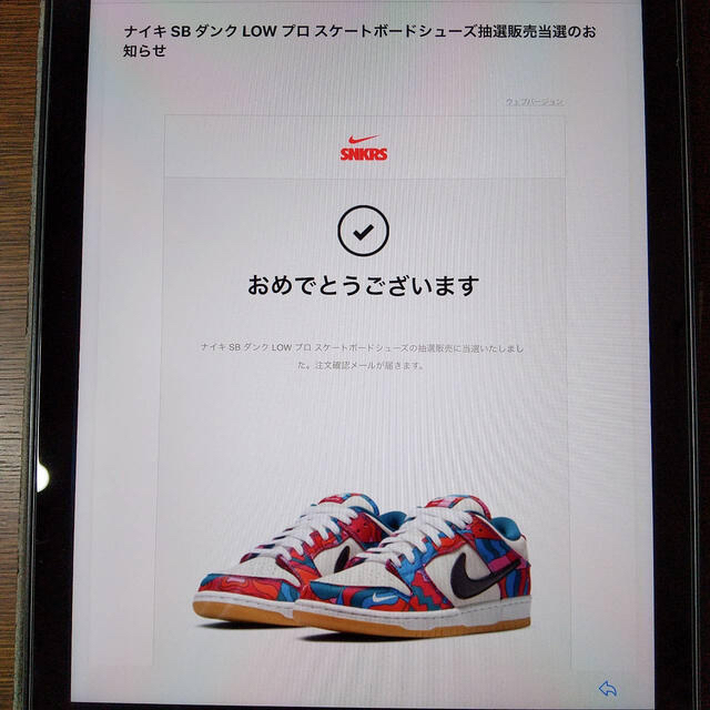 NIKE(ナイキ)のyu.mi様専用　パイエット パラ × ナイキSB ダンク  メンズの靴/シューズ(スニーカー)の商品写真