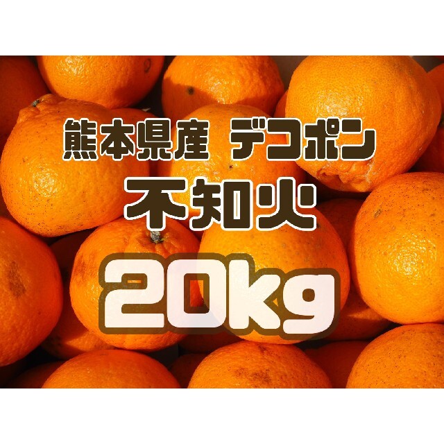家庭用　20kg　熊本県産　デコポン【不知火】箱込　フルーツ