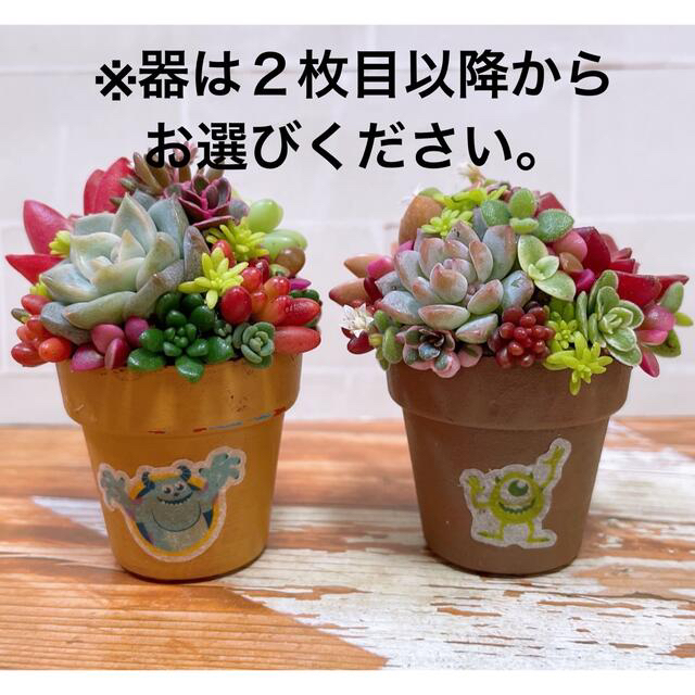 多肉植物　寄せ植え ハンドメイドのフラワー/ガーデン(その他)の商品写真