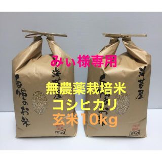 みぃ様専用 無農薬コシヒカリ玄米10kg(5kg×2)令和3年 徳島県産(米/穀物)