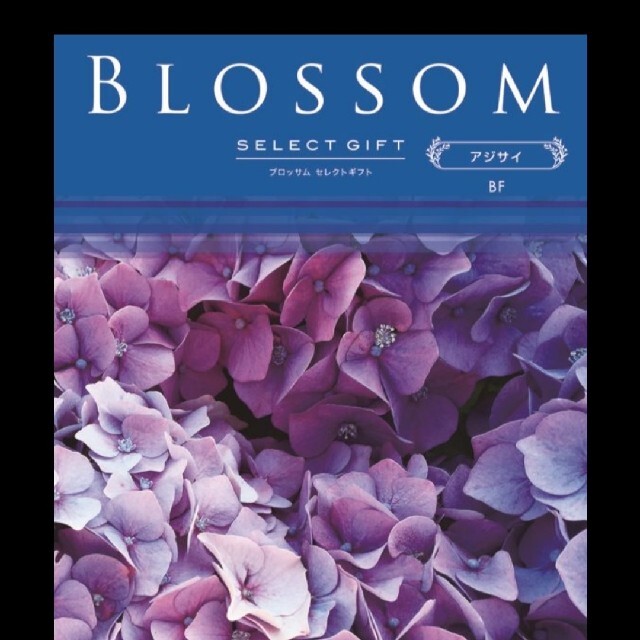 カタログギフト BLOSSOM　ブロッサム　BF　アジサイ  5800円＋税 1