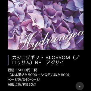 カタログギフト BLOSSOM　ブロッサム　BF　アジサイ  5800円＋税(その他)