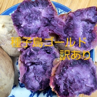 訳あり種子島ゴールドプチ・2S・Sサイズ混合2.8kg(野菜)