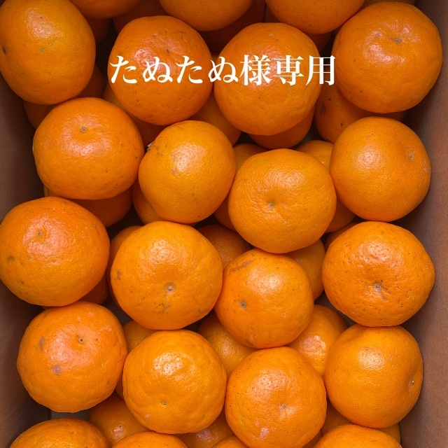 たぬたぬ