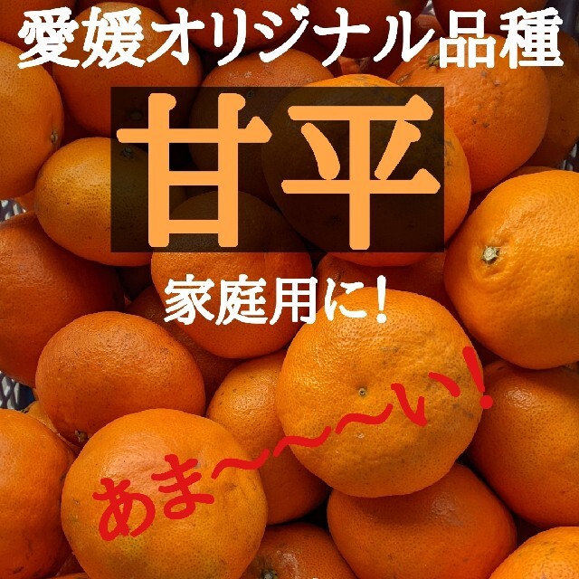 愛媛県大三島産　あま〜い甘平　5kg 食品/飲料/酒の食品(フルーツ)の商品写真