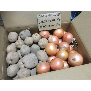 北海道産　ジャガイモとタマネギのセット⑯　10kg　農家直送(野菜)