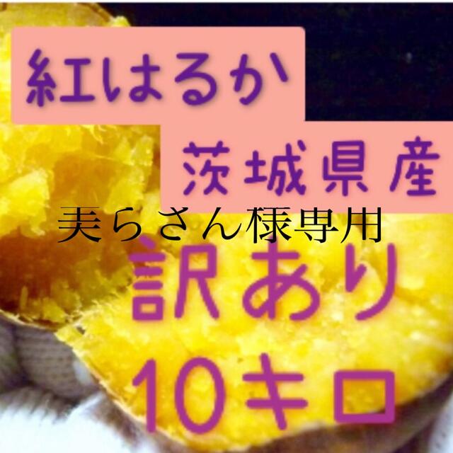 美らさん様専用 食品/飲料/酒の食品(野菜)の商品写真