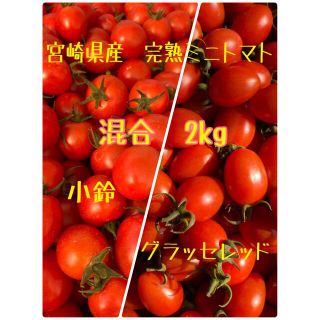 小鈴&グラッセレッド混合　2kg(野菜)