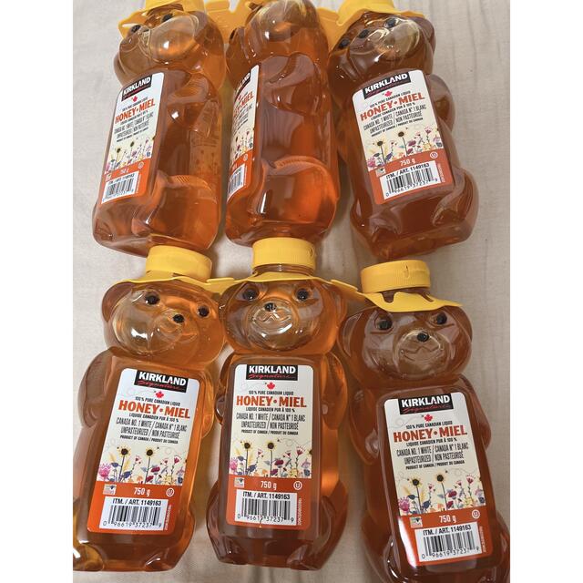 カナディアンハニー 750g 3本セット 蜂蜜 はちみつ ハチミツ カナダ産