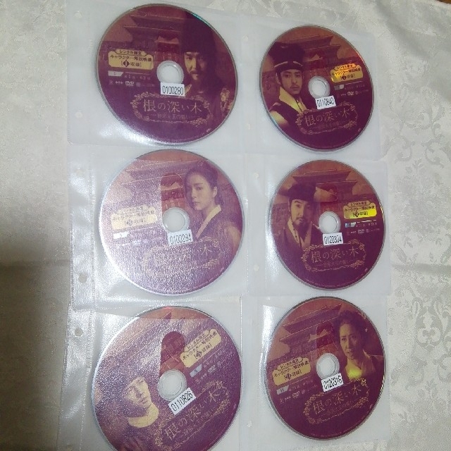 レンタル落ち　根の深い木　DVD１２枚　全話　チャン・ヒョク