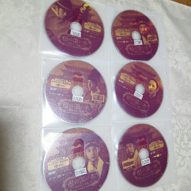 レンタル落ち　根の深い木　DVD１２枚　全話　チャン・ヒョク