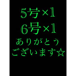 さびき 仕掛け針 2枚　◉5号×1点 ◉6号×1点　他より太く丈夫な糸 最安値(釣り糸/ライン)