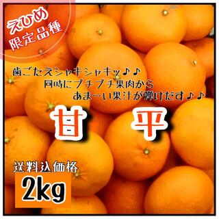 ●【愛媛えひめ産】●フルーツ果物くだもの果実みかん柑橘《甘平》(フルーツ)
