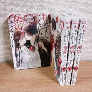 あんず様専用　初めましてこんにちは、離婚してください　1〜4巻セット(その他)