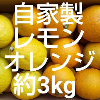 訳あり 加工用 オレンジ レモン 約3kg 詰め合わせ 農薬不使用 自家製(フルーツ)