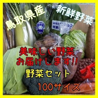 【鳥取県産】野菜セット　100サイズ　野菜　やさいセット　いちご　キャベツ　白菜(野菜)