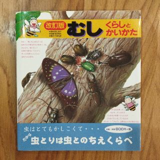 むし くらしとかいかた 改訂版(絵本/児童書)