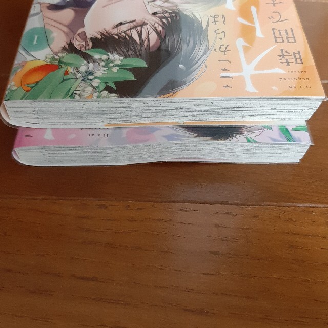 ここからはオトナの時間です。 1、2巻 帯付き、透明ブックカバー付き