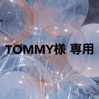 TOMMY様 専用ページ(携帯用ゲームソフト)